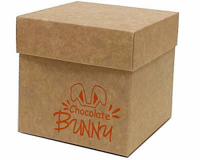 Cubebox Bunny Kraft
