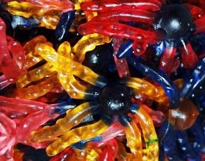octopus trolli