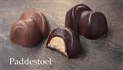 Paddestoel